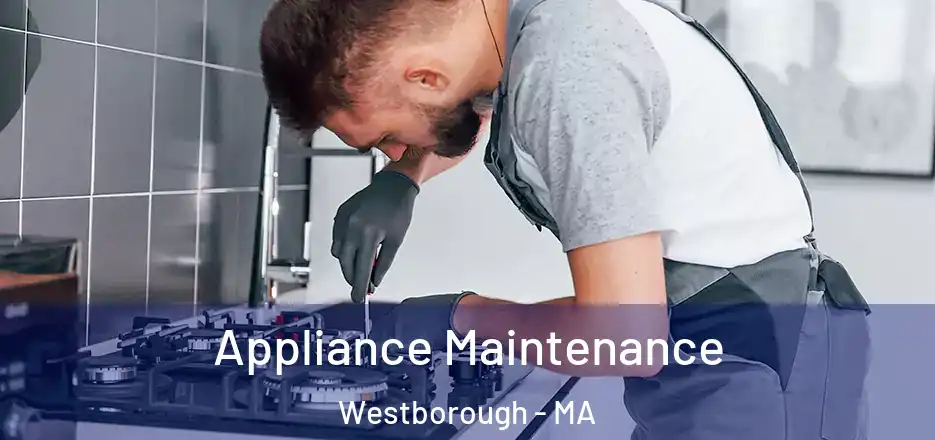 Appliance Maintenance Westborough - MA