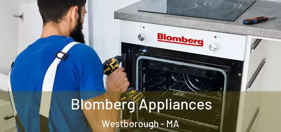 Blomberg Appliances Westborough - MA