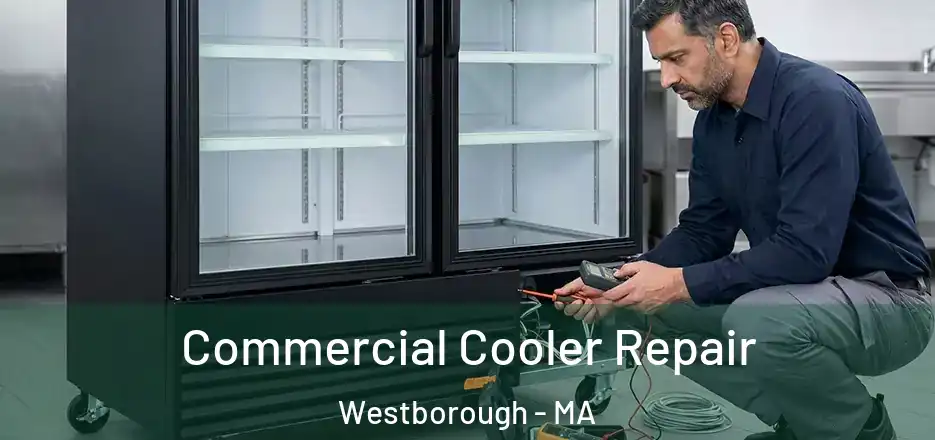 Commercial Cooler Repair Westborough - MA