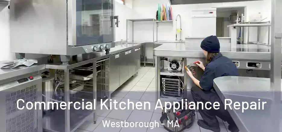 Commercial Kitchen Appliance Repair Westborough - MA