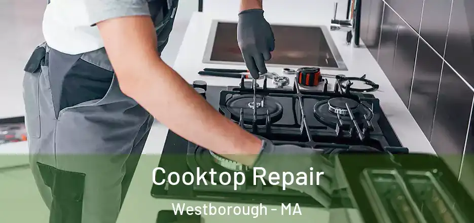  Cooktop Repair Westborough - MA
