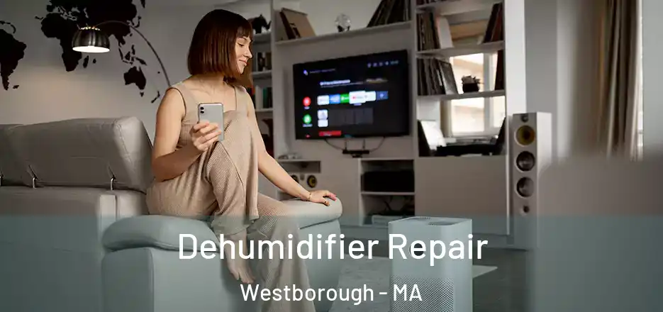 Dehumidifier Repair Westborough - MA