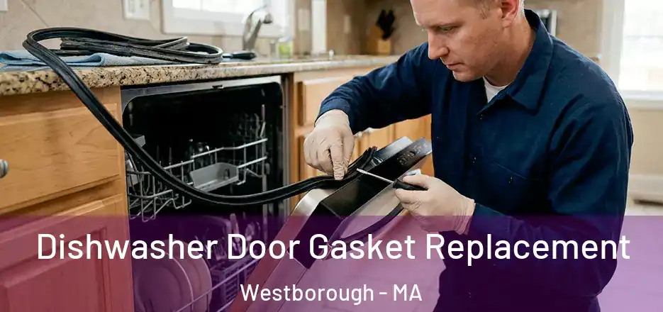 Dishwasher Door Gasket Replacement Westborough - MA