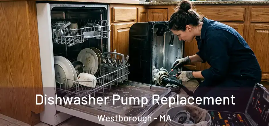 Dishwasher Pump Replacement Westborough - MA