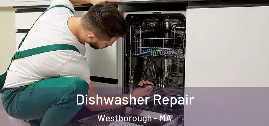 Dishwasher Repair Westborough - MA