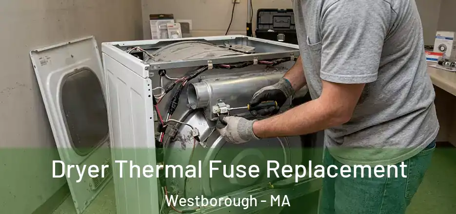 Dryer Thermal Fuse Replacement Westborough - MA