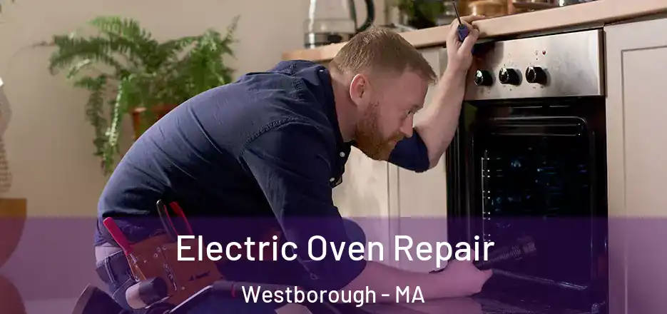 Electric Oven Repair Westborough - MA