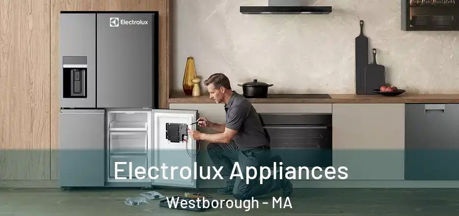  Electrolux Appliances Westborough - MA