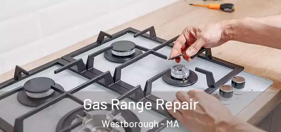 Gas Range Repair Westborough - MA