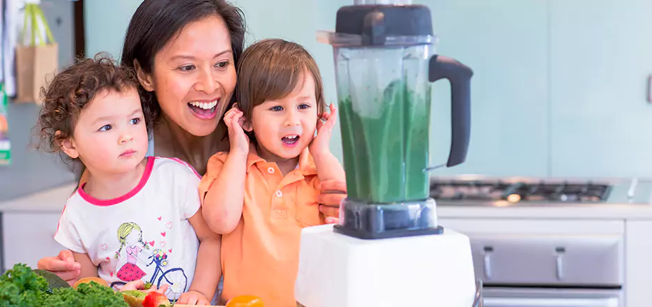 Juicer and Mixer Blender Repair in Westborough