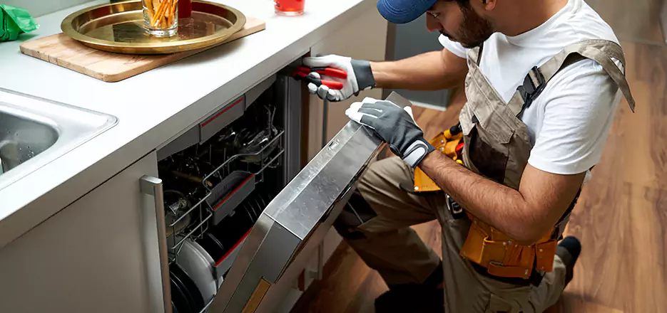 Same Day Dishwasher Not Draining Repair in Westborough