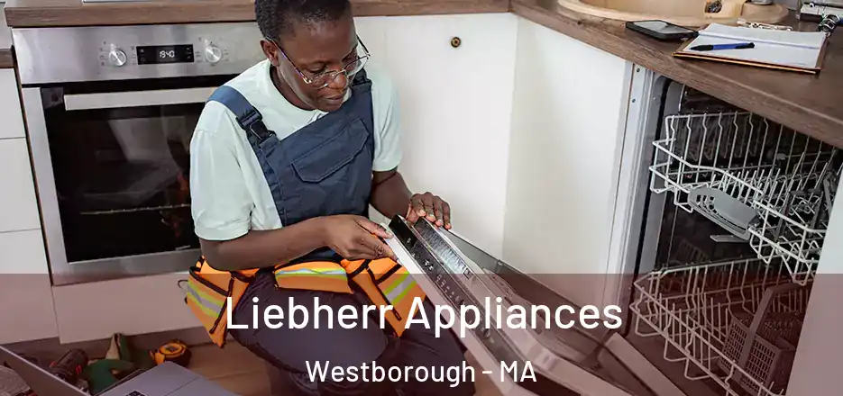 Liebherr Appliances Westborough - MA