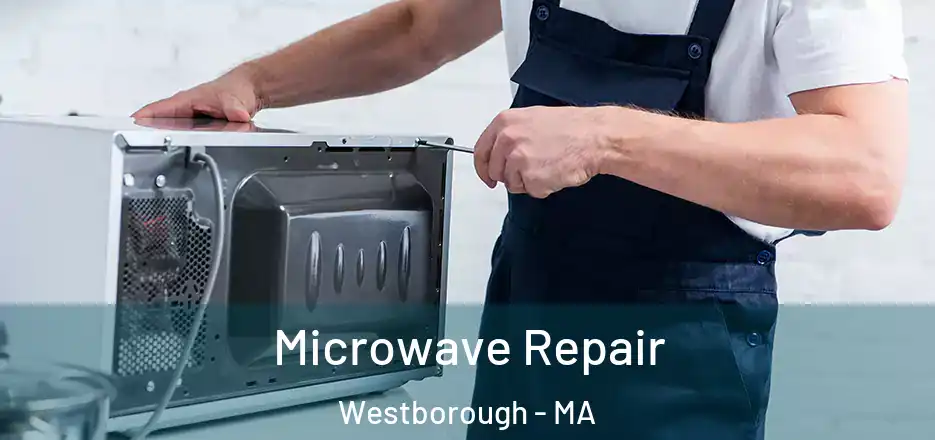 Microwave Repair Westborough - MA