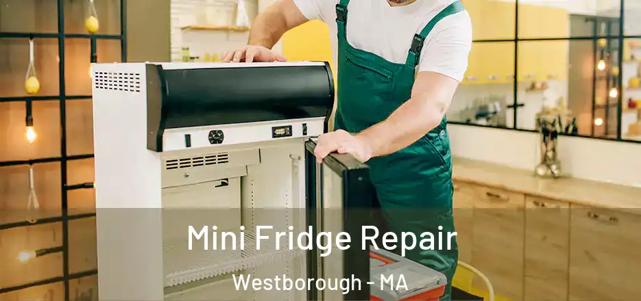 Mini Fridge Repair Westborough - MA