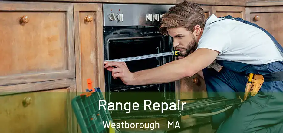 Range Repair Westborough - MA