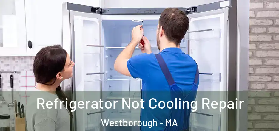 Refrigerator Not Cooling Repair Westborough - MA