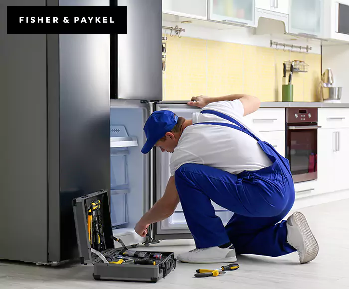 Top-Rated Fisher & Paykel Appliance Experts: Your Brand Specialist in Westborough, MA